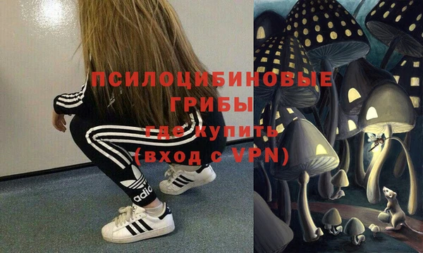 скорость Богданович