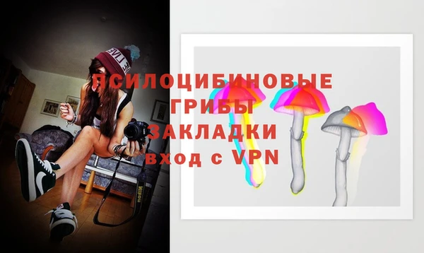 ECSTASY Богородск
