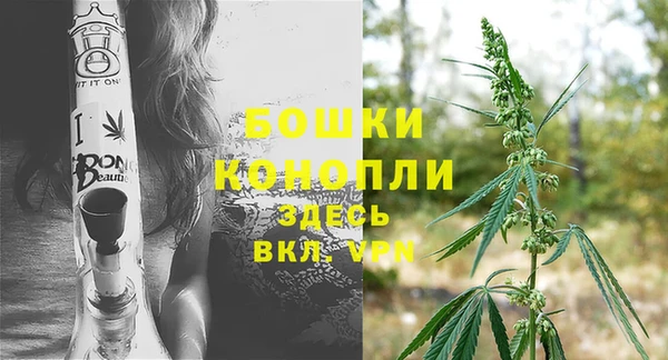 ECSTASY Богородск
