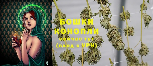 ECSTASY Богородск