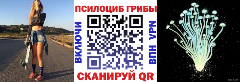 как найти Сочи Галлюциногенные грибы ЛСД
