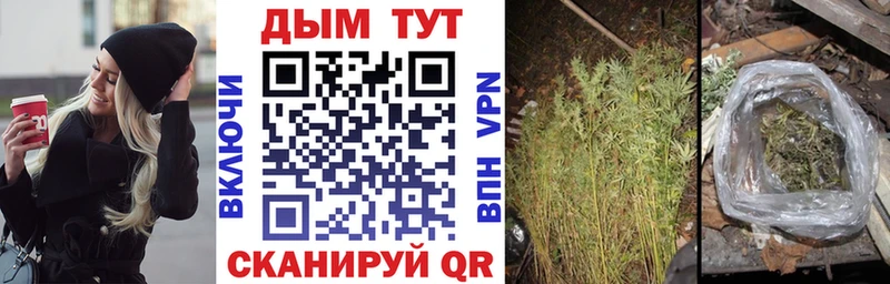 Каннабис OG Kush  Сочи 